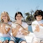 article image -